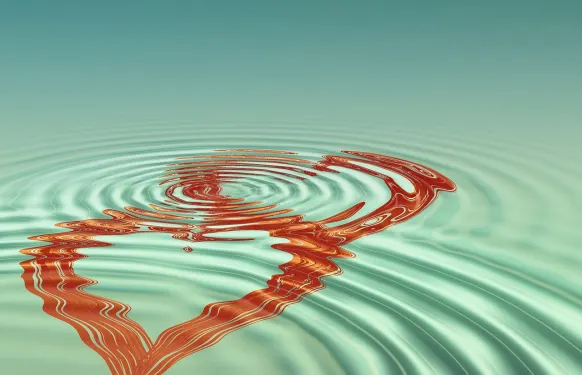 Kasino Barbados Bingo Podpora